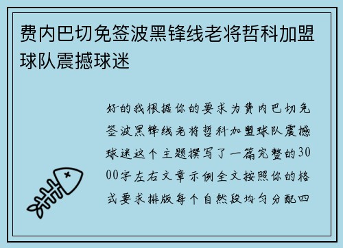 费内巴切免签波黑锋线老将哲科加盟球队震撼球迷 费内巴切免签波黑锋线老将哲科加盟球队震撼球迷